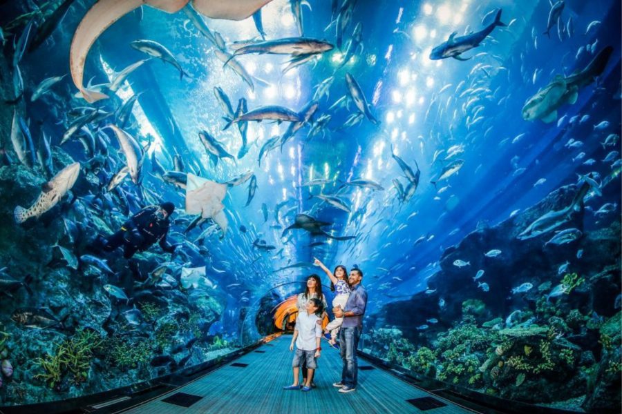 Dubai Mall Aquarium & Underwater Zoo