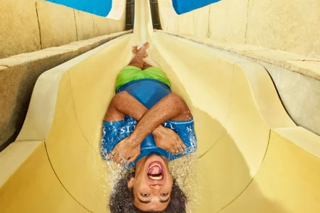 Atlantis Aquaventure Super Pass (Waterpark + The Lost Chambers Aquarium)