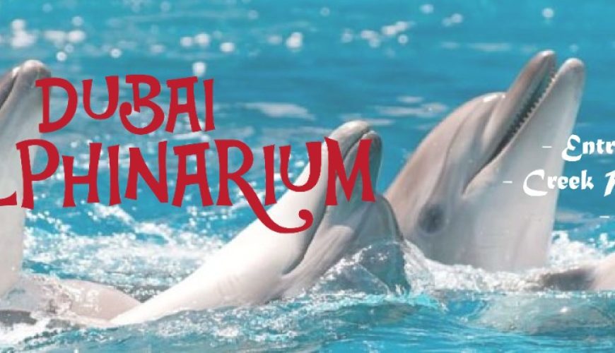 Discover the Ultimate Tourism Experience in Dubai: More Than Just Desert Safaris and Cruises